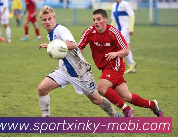 开元棋牌平台生态图